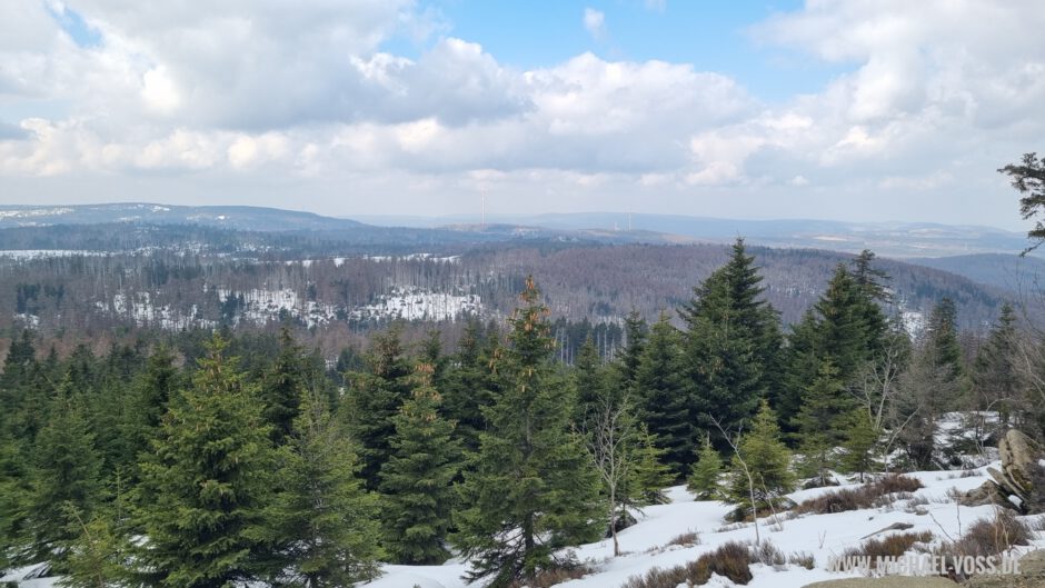 Der Schnee kann nicht darüber hinwegtäuschen: ein Großteil der Bäume im Hintergrund ist abgestorben