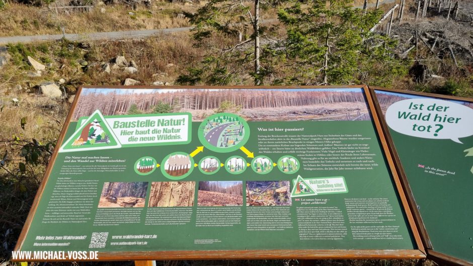 Die Nationalparkverwaltung informiert über die toten Bäume: Baustelle Natur!
