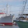 Hafen Hamburg: Cap San Diego und Rickmers Rickmers
