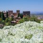 Granada: Blick vom Generalife auf die Alhambra