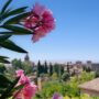 Granada: Der Garten Generalife