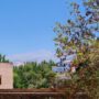 Granada: Der Garten Generalife