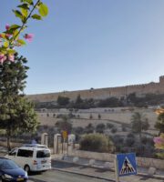 Jerusalem: Blick aus dem Garten Gethsemane auf die Altstadt (Foto: Michael Voß).