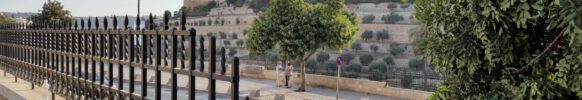 Jerusalem: Blick aus dem Garten Gethsemane auf die Altstadt (Foto: Michael Voß).