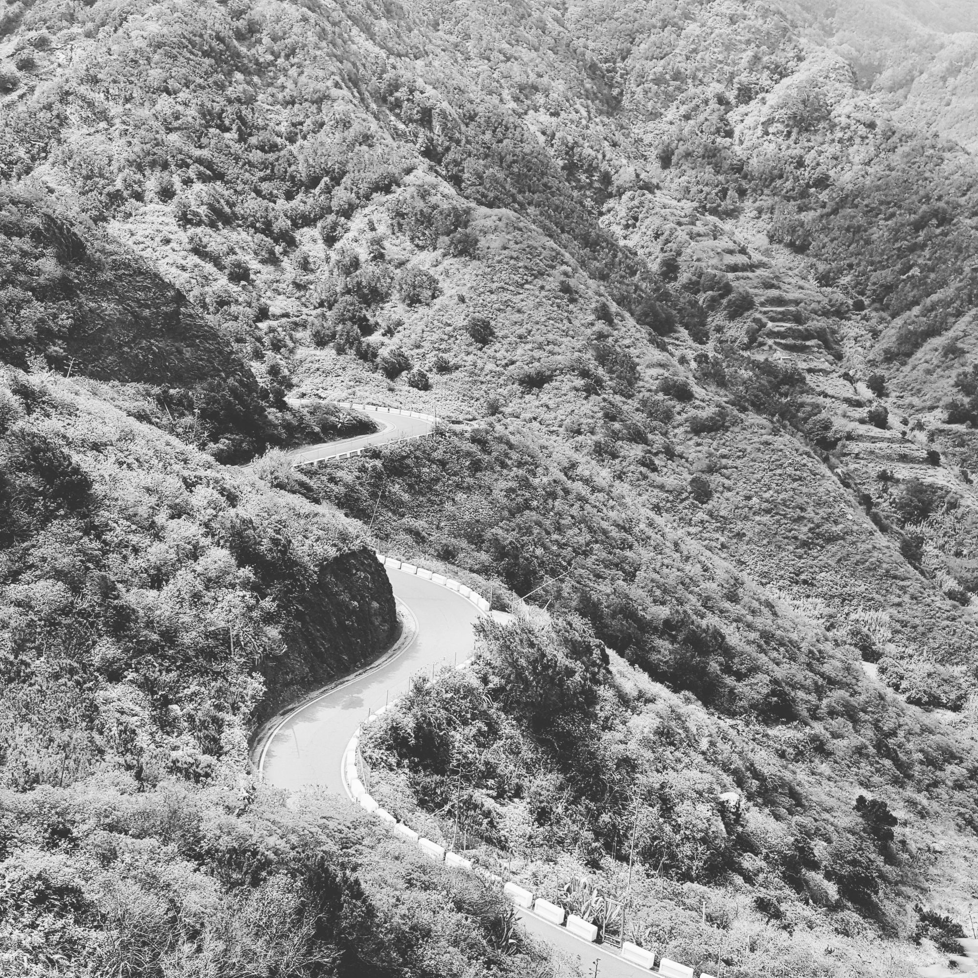 Die einzige Zufahrtsstraße nach Taganana schlängelt sich den Berg herunter. Sie wurde erst in den 60er-Jahren gebaut (Foto: Michael Voß)