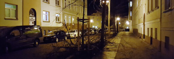 Abgestürzte Baumteile in Halle / Saale