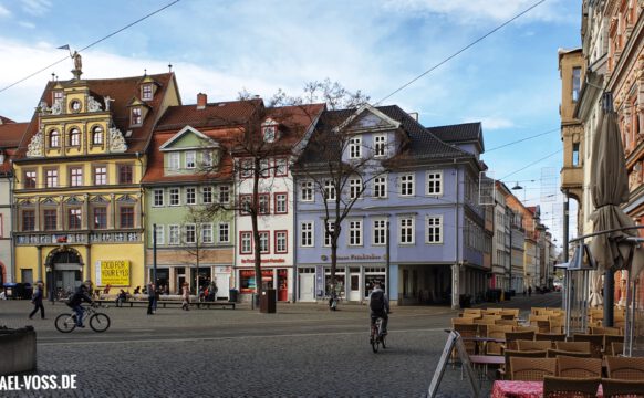 Erfurter Fischmarkt