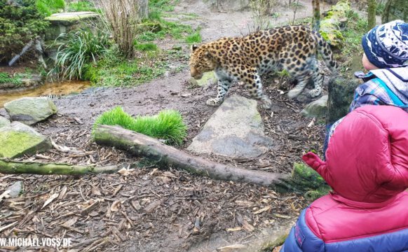 Tiere hautnah im Zoo Leipzig – Glasscheiben machen es möglich